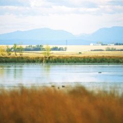 Notre allié le plus puissant : la nature