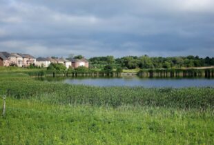 Canards Illimités Canada félicite le gouvernement pour son Énoncé économique de l’automne, qui consacre l’importance de la nature dans la reprise économique du Canada
