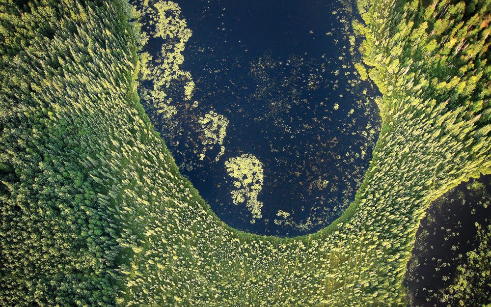 Les milieux humides de la forêt boréale du Canada assurent l’habitat de reproduction de la sauvagine. Ils créent aussi de l’emploi et nous ouvrent des perspectives économiques grâce à la chasse, à la pêche, aux loisirs et au tourisme.