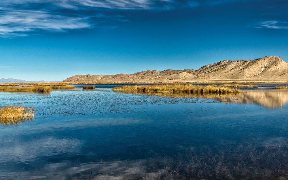 Dans Nevada, l’état le plus sec des États-Unis, l’eau est la plus précieuse ressource de toutes. Des milieux humides comme celui-ci apportent, aux humains comme à la sauvagine, un répit qui intervient toujours au bon moment.
