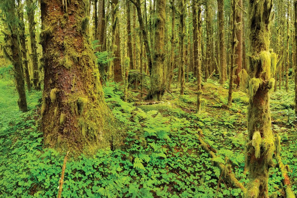 Haida Gwaii, en Colombie-Britannique