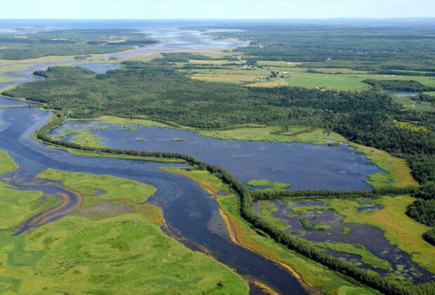 Canards Illimités Canada forme un partenariat avec Irving Oil, l’Université de Toronto Scarborough et d’autres grandes universités canadiennes pour faire avancer la recherche climatique et réduire les émissions de gaz à effet de serre