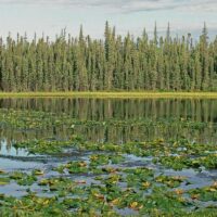 Connectez-vous avec la conservation