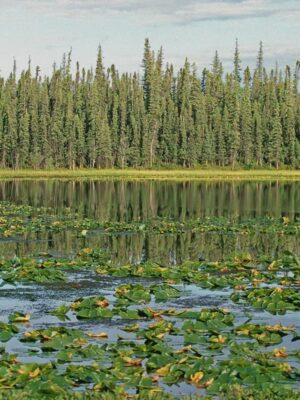 Connectez-vous avec la conservation