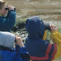 Éducation et engagement