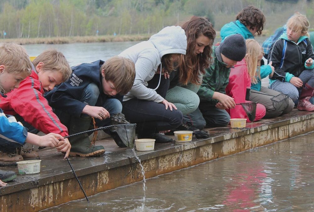 Des enfants attrapent des insectes dans un marais. Les recherches montrent que les niveaux d'anxiété liés aux préoccupations concernant le changement climatique sont en hausse chez les jeunes Canadiens. CIC a développé des ressources en ligne pour aider les étudiants à y faire face.