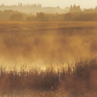 Prairies