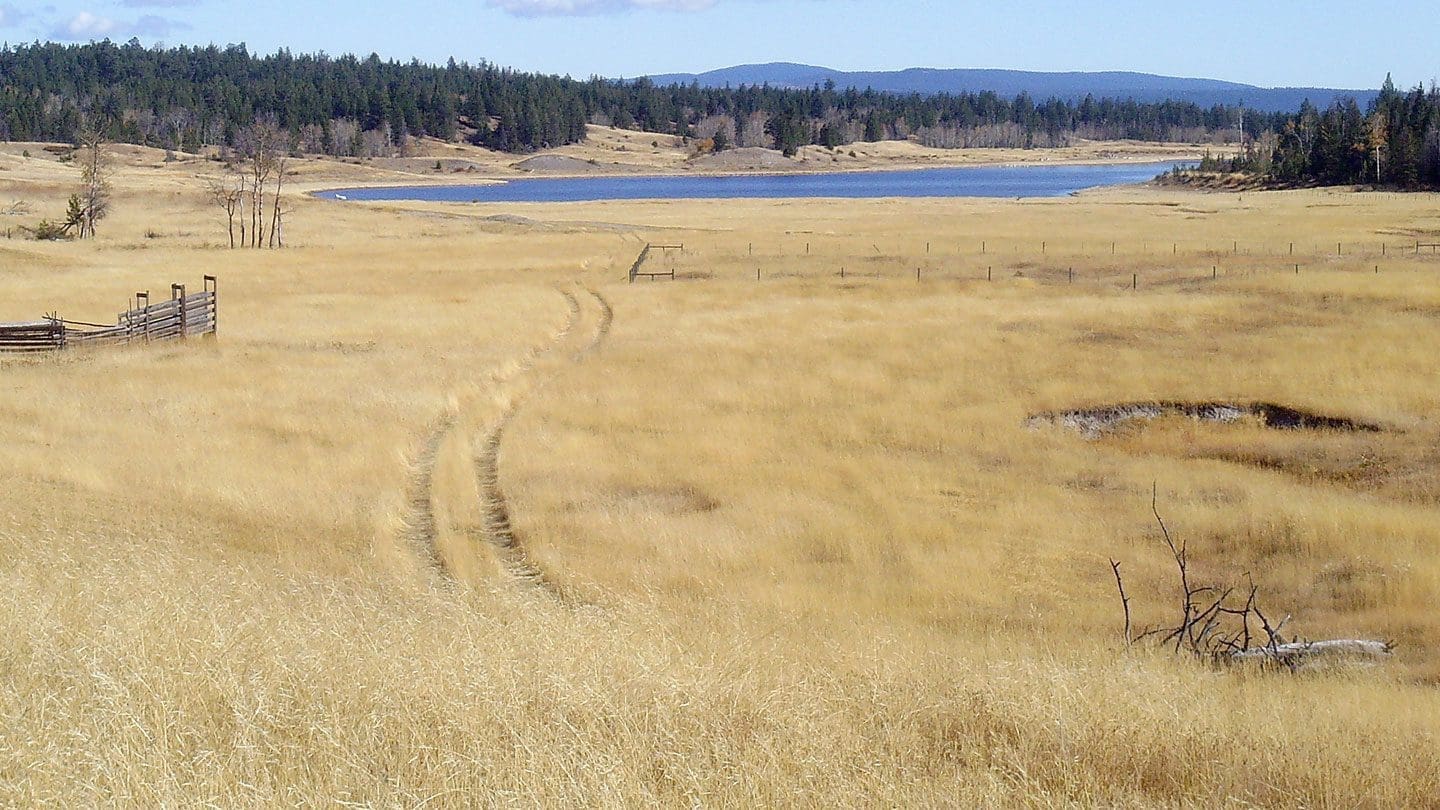 Pacific Interior grassland