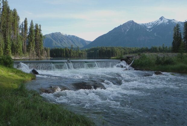 La chasse en British Columbia