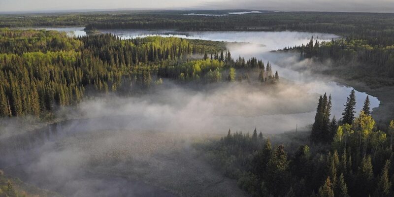 La forêt boréale du Canada