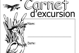 Carnet de terrain de l’élève