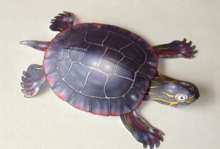 Maquettes animalières en papier