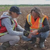 Établir un partenariat stratégique