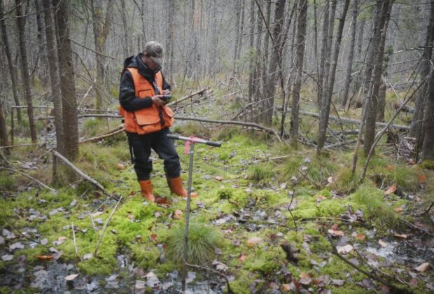 Forestry tools for sustainability