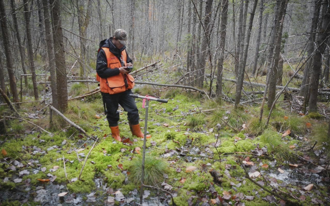 Forestry tools for sustainability