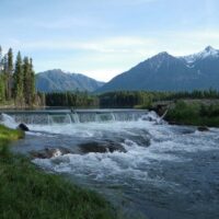 Fonds d'innovation et de restauration du saumon de la Colombie-Britannique 