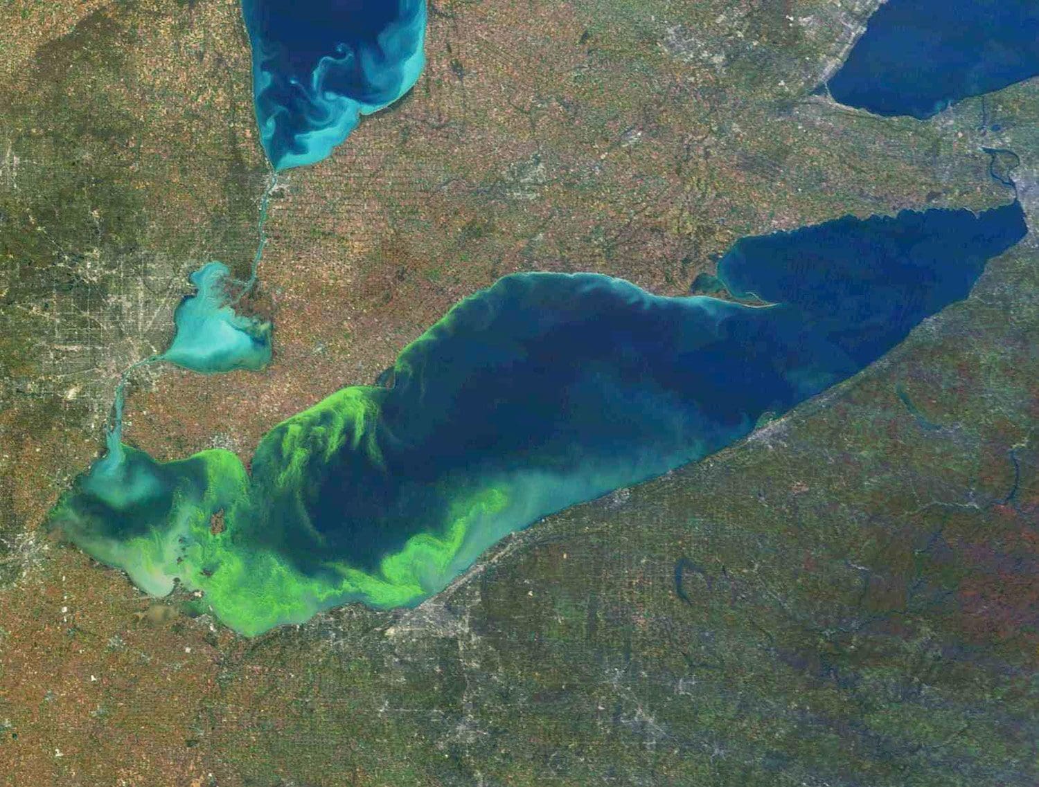 Satellite imagery of an algae bloom on Lake Erie highlights