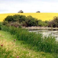 Qu’est-ce qu’une prairie ?