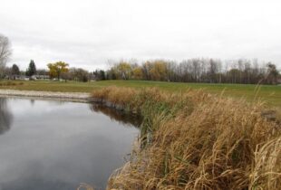 Les réalisations de notre grande famille de conservationnistes en 2016