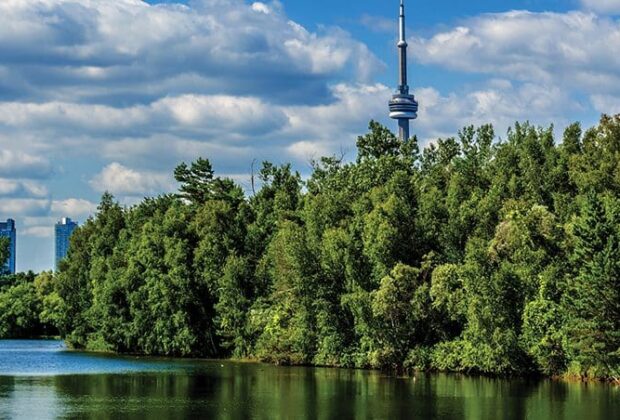 Marais, bogs et Tour du CN