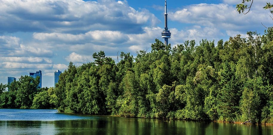 Marais, bogs et Tour du CN