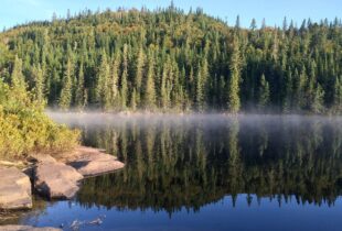 Dépôt du projet de loi 132 sur la conservation des milieux humides et hydriques