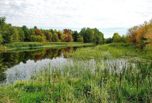 Loi sur la conservation des milieux humides et hydriques