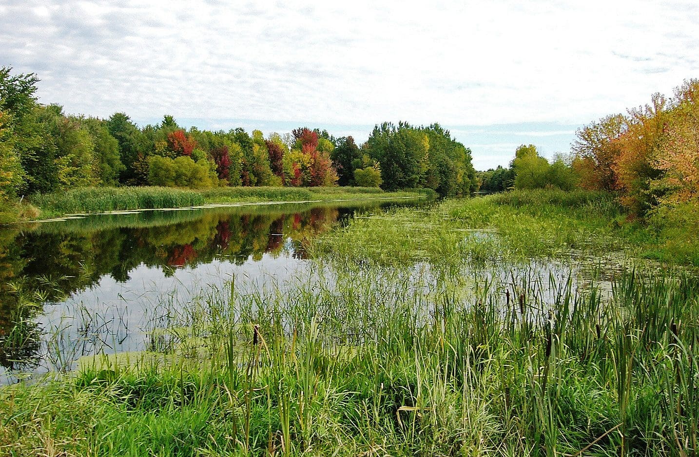 Loi sur la conservation des milieux humides et hydriques