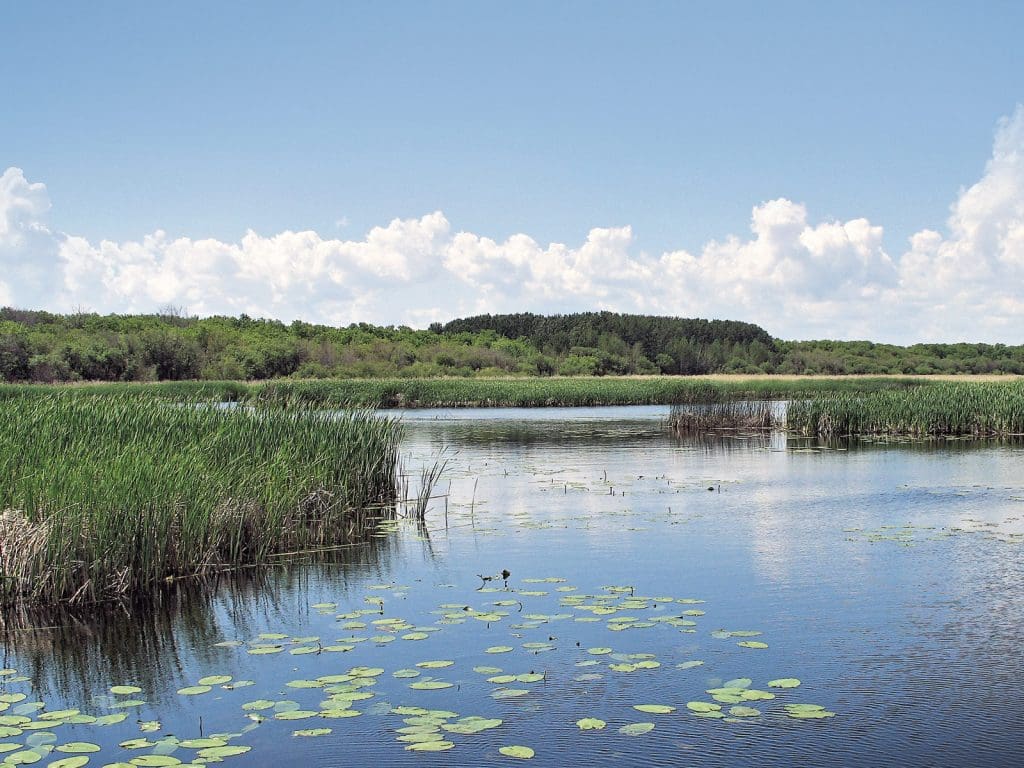 Saskatchewan River Delta