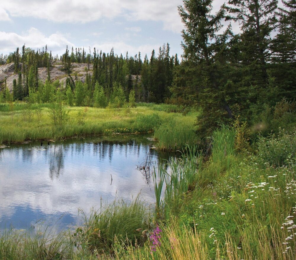 CIC et la Société tribale du Traité no 8 de l’Akaitcho déploient de prodigieux efforts de conservation dans la forêt boréale