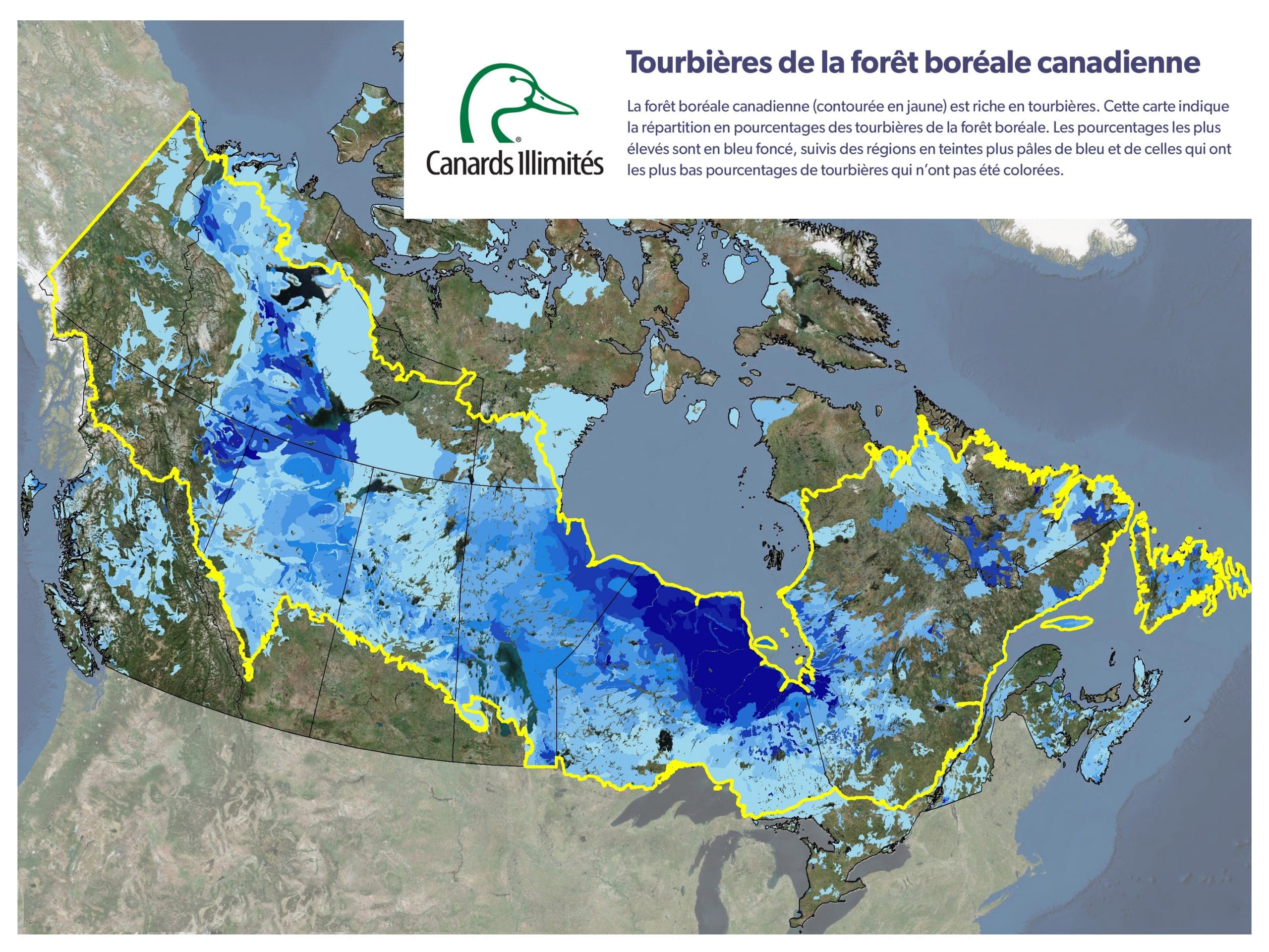 Sonder les profondeurs des tourbières du Canada, au nombre des plus vastes réservoirs de carbone dans le monde