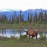 Restauration et conservation des terres