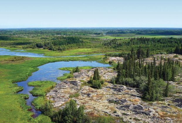 La forêt boréale, vue à vol de canard