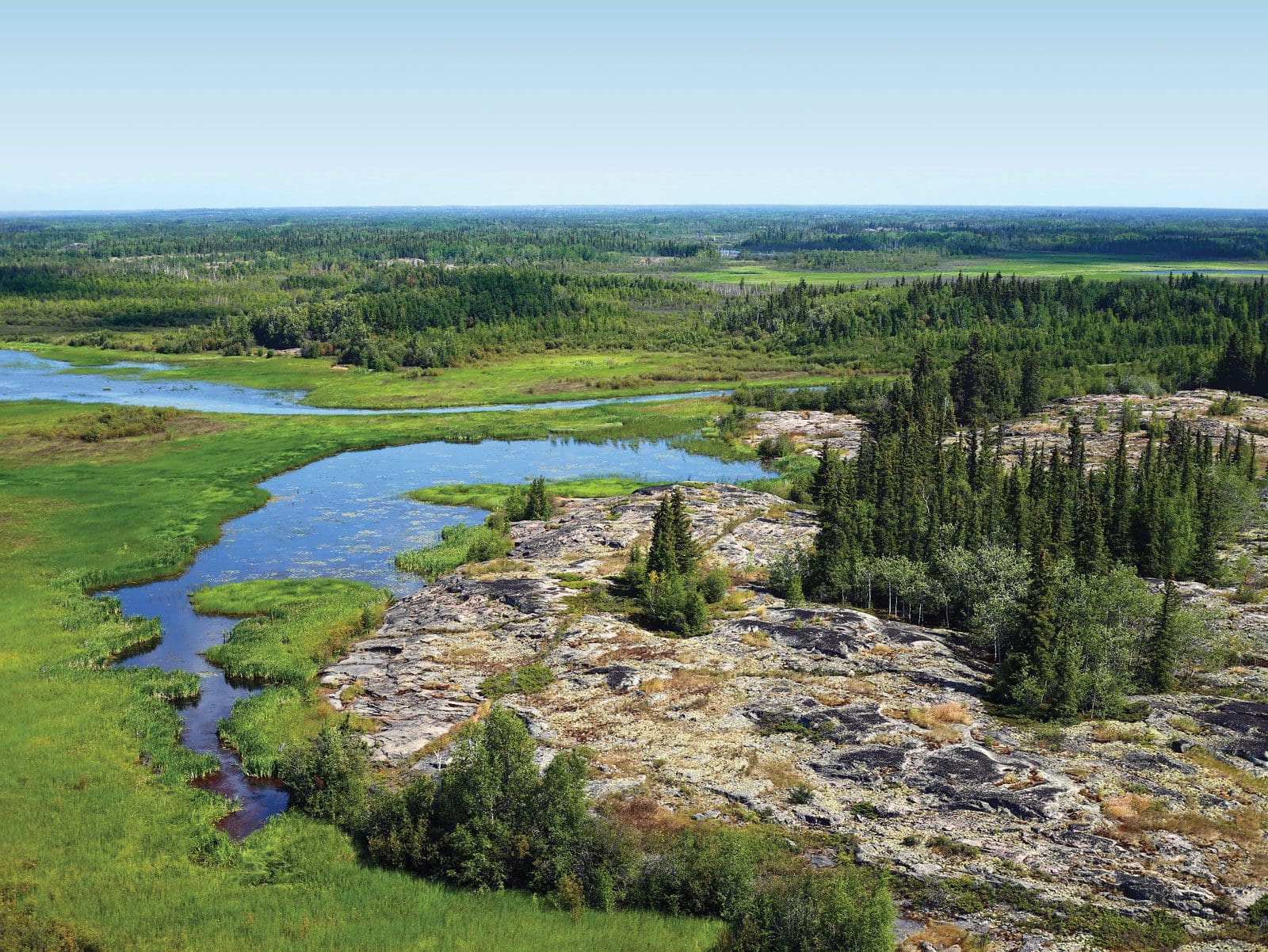 La forêt boréale, vue à vol de canard