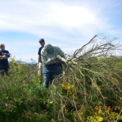 Fewer feathers at East Marsh