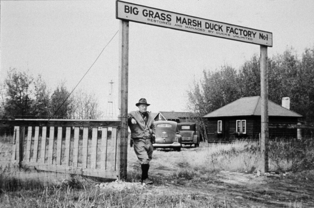 80 années de conservation : ce n’est pas un poisson d’avril!