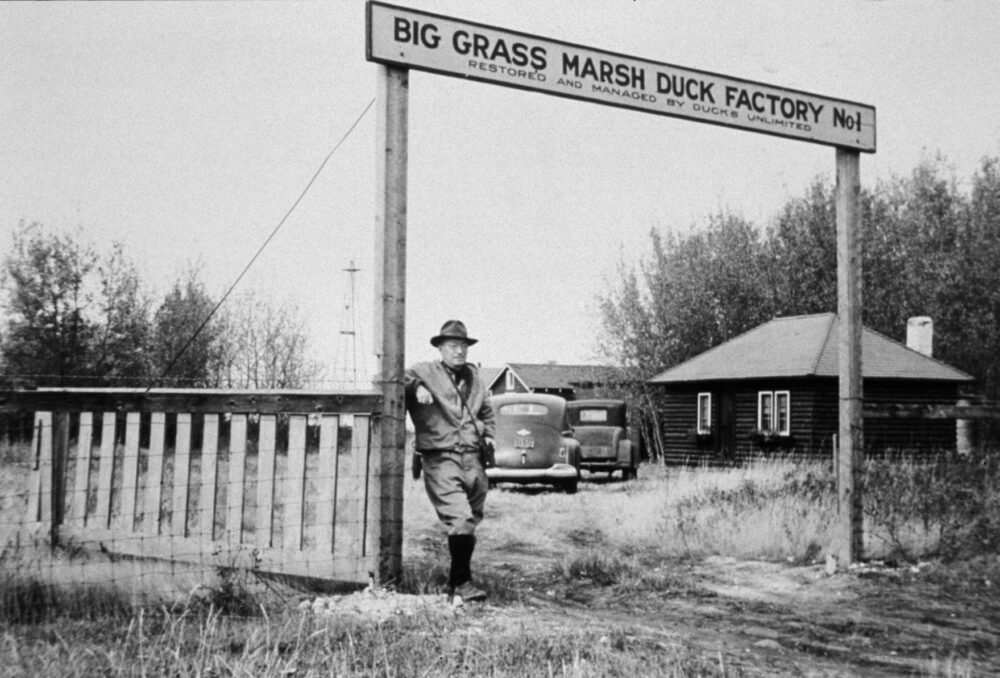 Photo d'archives du panneau du marais Big Grass, au Manitoba, site du premier projet de restauration de milieux humides de CIC au Canada. Notez que la cabane originale située à l'arrière-plan a été déplacée au marais Oak Hammock.