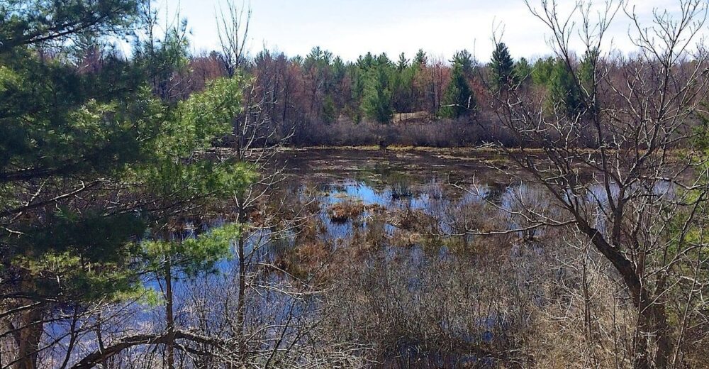 Le plein air à Ottawa prend un coup de vert