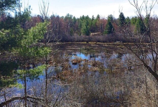 Le plein air à Ottawa prend un coup de vert