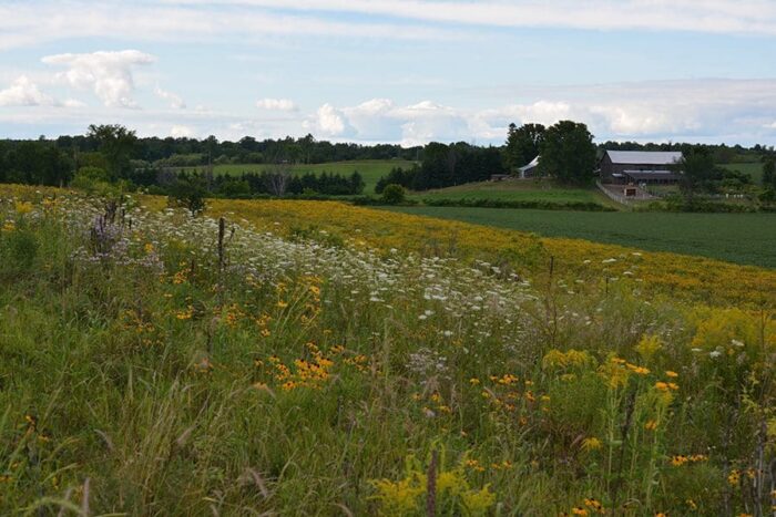 L’habitat aménagé sur le domaine de Natalie Rowe et de Gordon Campbell