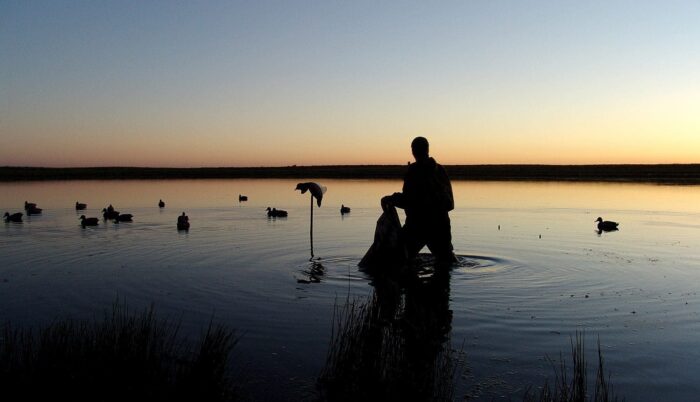 Chasseur installant des leurres sur un milieu humide