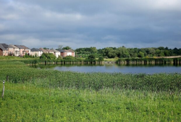 Canards Illimités Canada félicite le gouvernement pour son Énoncé économique de l’automne, qui consacre l’importance de la nature dans la reprise économique du Canada