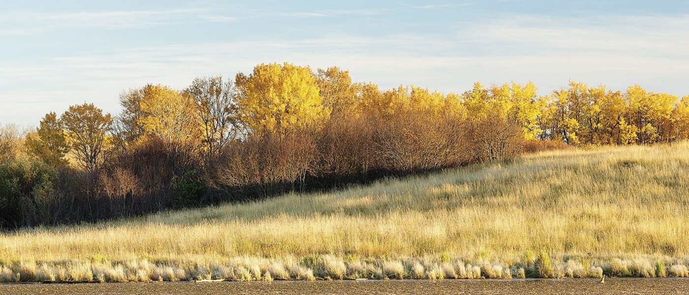 Un projet de CIC dans les collines Allan de la Saskatchewan sera rebaptisé pour lui rendre hommage.