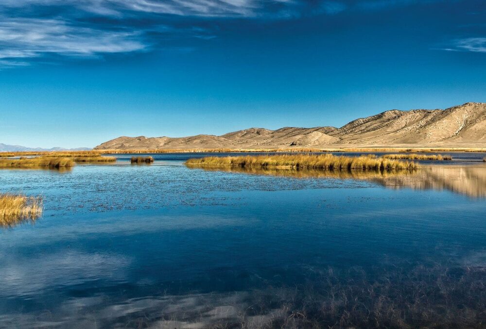 Dans Nevada, l’état le plus sec des États-Unis, l’eau est la plus précieuse ressource de toutes. Des milieux humides comme celui-ci apportent, aux humains comme à la sauvagine, un répit qui intervient toujours au bon moment.