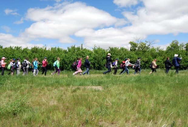 Découvrez les milieux humides de la Saskatchewan