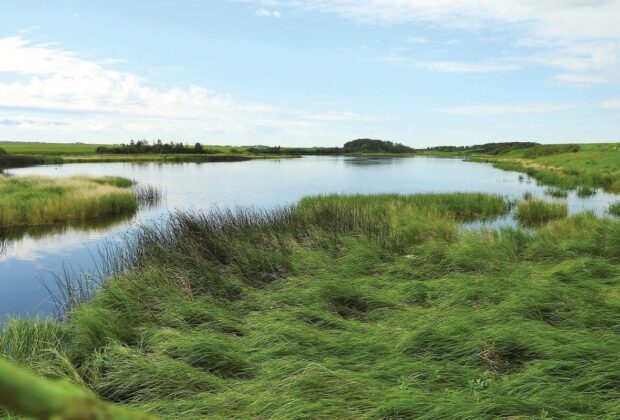 Canards Illimités Canada mène à bien la campagne historique Sauvons nos milieux humides  Sept années d’efforts voués à la conservation de plus de 263 046 hectares d’habitats essentiels