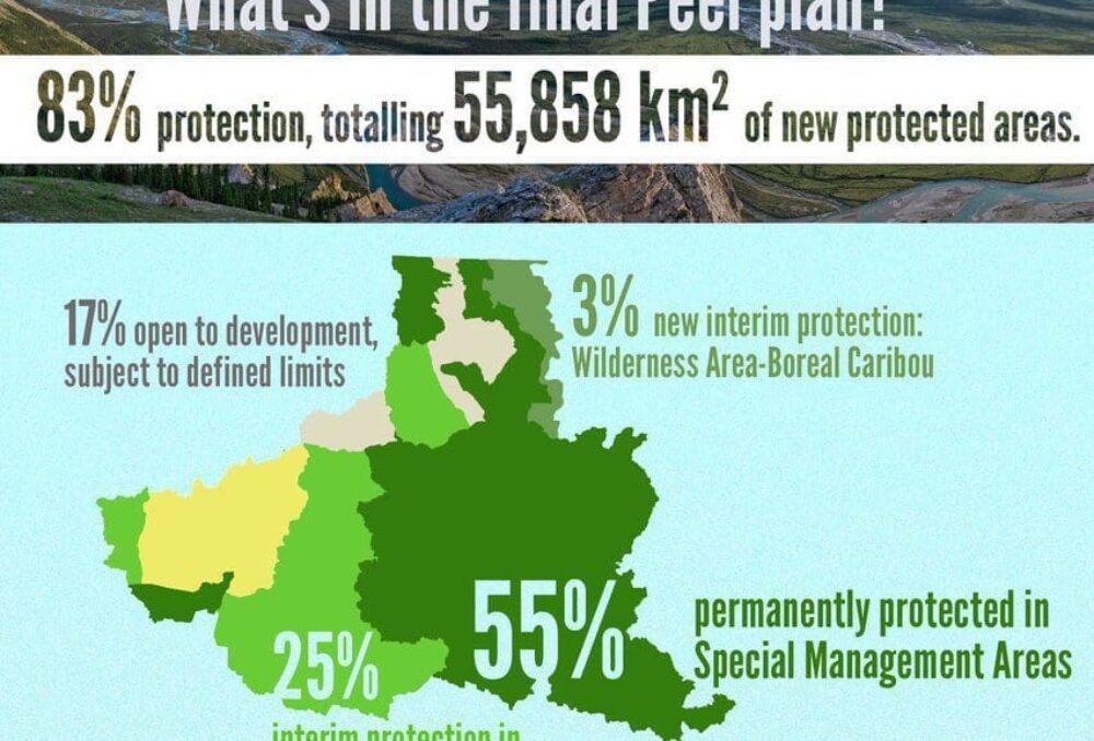 What's in the Final Peel Plan infographic