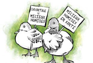Militez pour la conservation