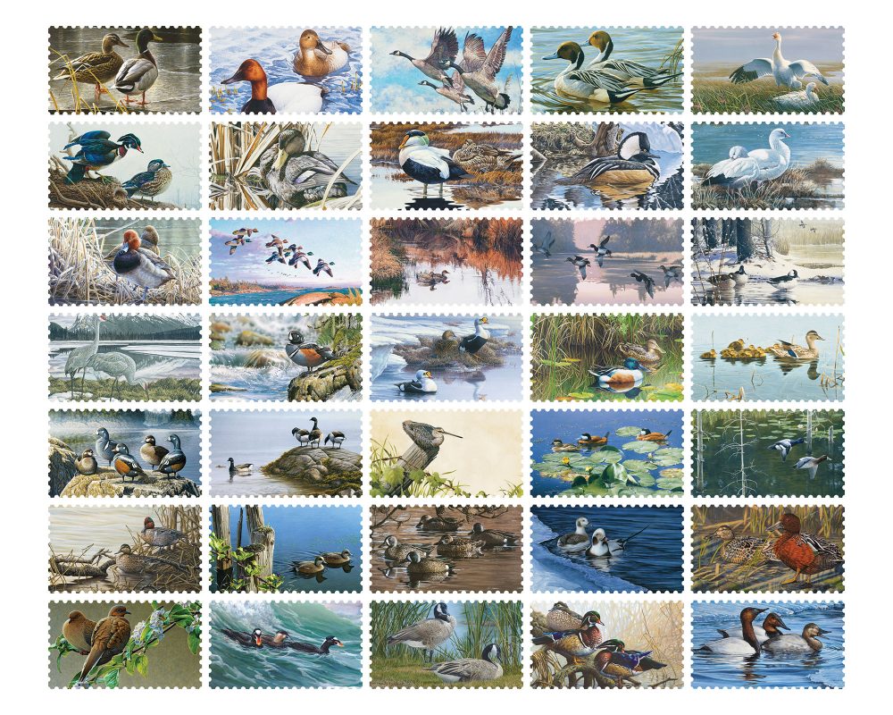 Timbres de canards d’Habitat faunique Canada