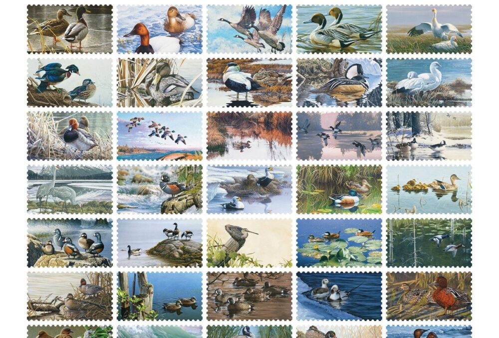 Timbres de canards d’Habitat faunique Canada